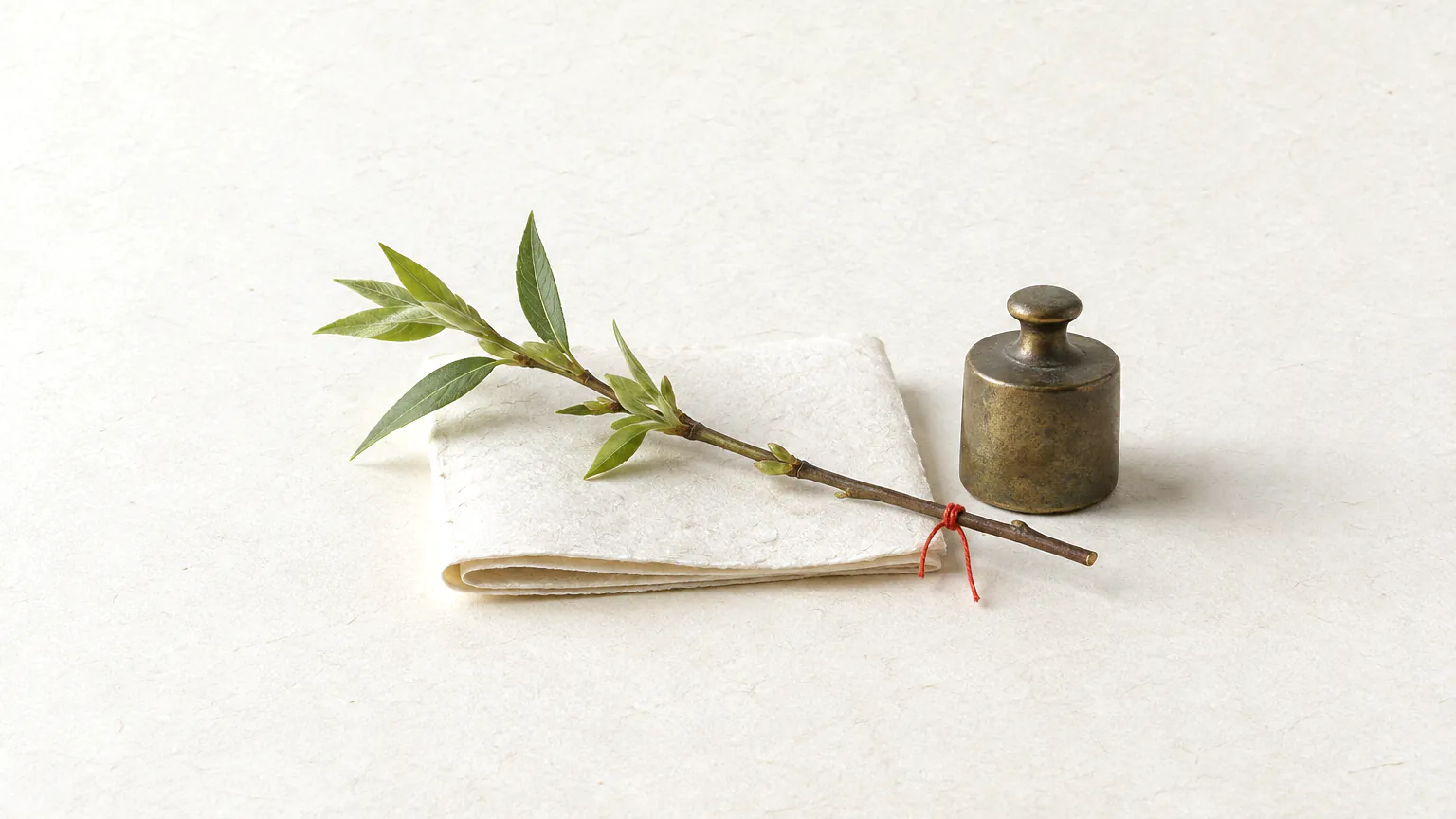 A thin willow twig with fresh leaves across a folded blank sheet, tied with a cinnabar thread, beside a small bronze weight