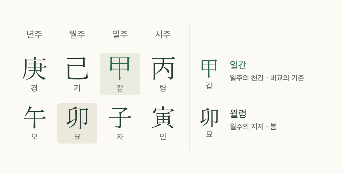 월령이란 무엇인지 보여 주는 네 기둥 그림: 일간과 월지의 위치