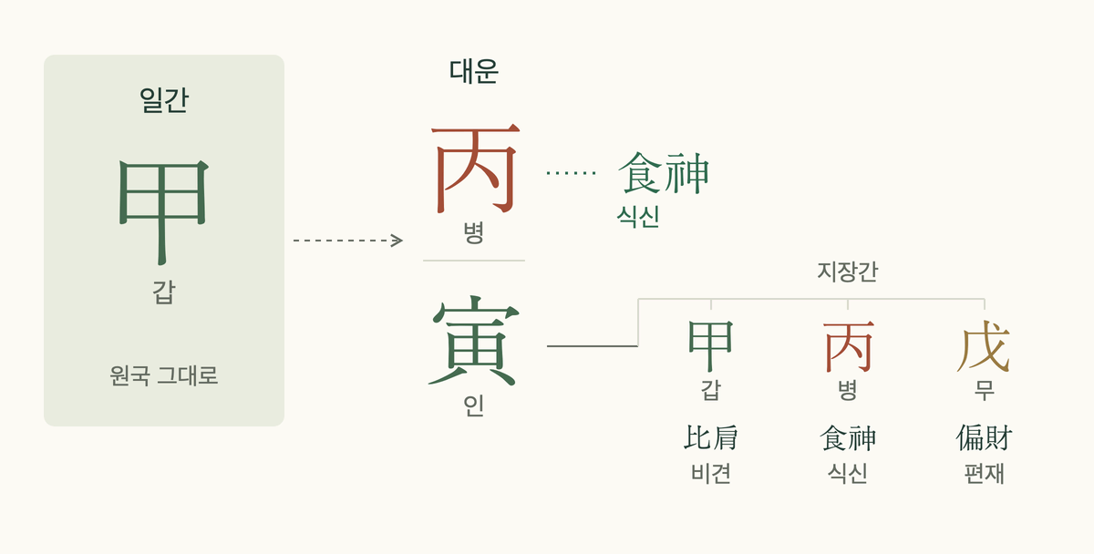 일간 갑(甲)과 대운 병인(丙寅), 병은 식신이고 인의 지장간은 갑·병·무