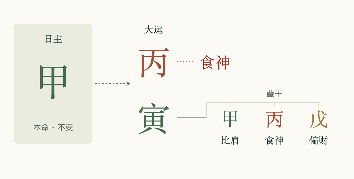 甲日主对照丙寅大运:丙为食神,寅中藏甲、丙、戊