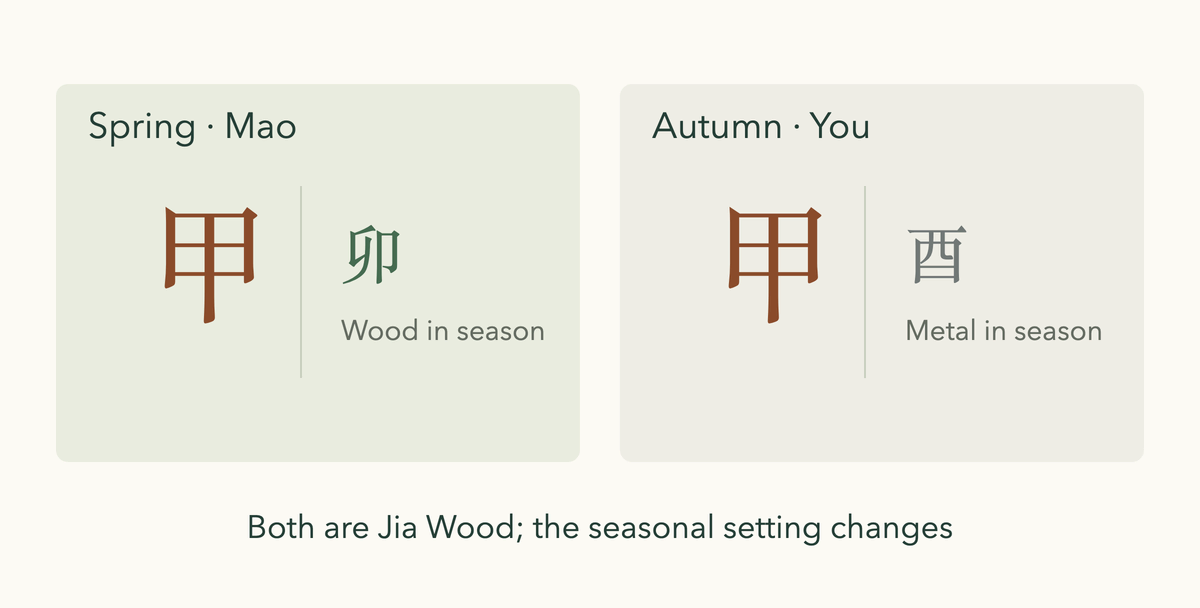 The same Jia Wood day master set against a Mao spring month and a You autumn month