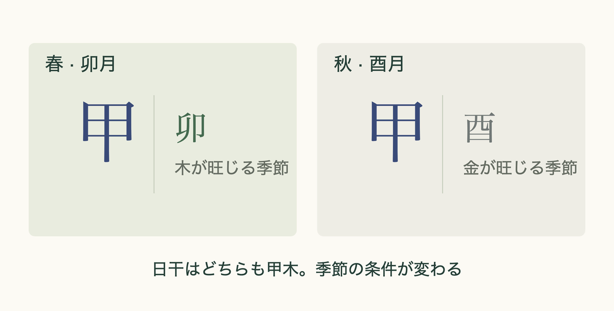 同じ甲木の日干を、春の卯月と秋の酉月に置いて比べた図