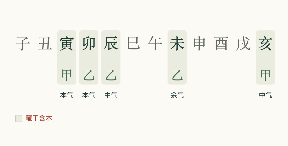 十二地支中寅、卯、辰、未、亥藏有木干,并标出所在位置